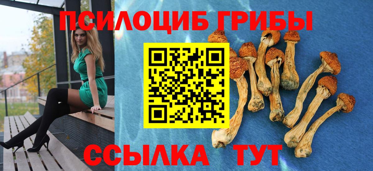 Солнечногорск  Галлюциногенные грибы прущие грибы  Вход с VPN 