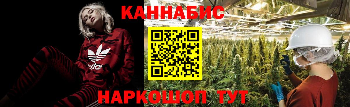 Бошки марихуана марихуана  Вход с VPN  Шишки марихуана White Widow  Конопля AK-47  Солнечногорск  Бошки марихуана Amnesia 
